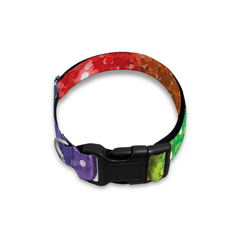 Rainbow (NOT Real) Glitter Print Dog Collar