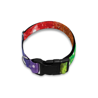 Rainbow (NOT Real) Glitter Print Dog Collar