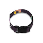 Rainbow Origami Unicorn Pattern Print Dog Collar