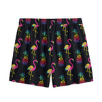 Rainbow Pineapple And Flamingo Print Mesh Shorts