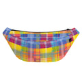 Rainbow Plaid Pattern Print Fanny Pack