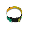 Rainbow Polygonal Geometric Print Dog Collar