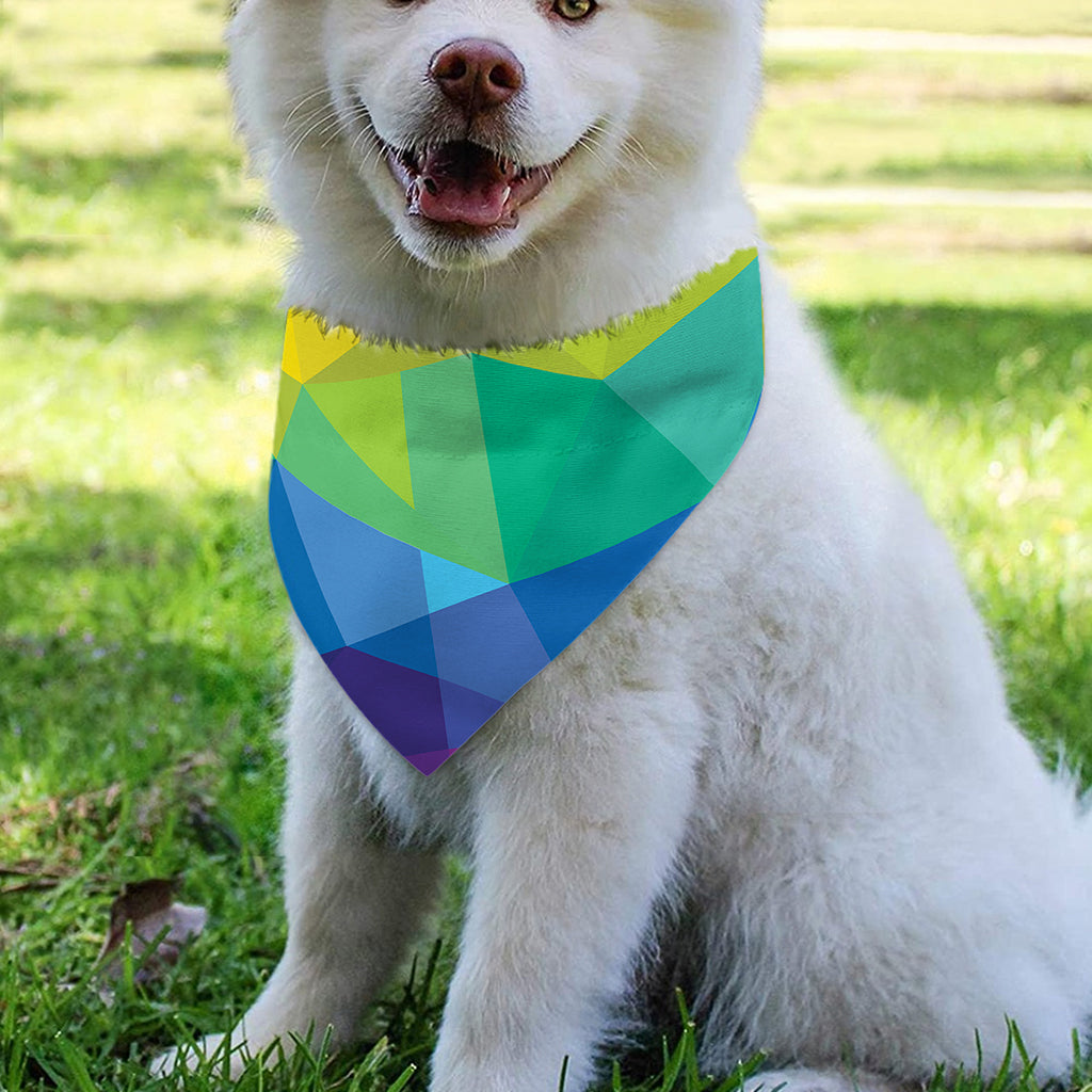 Rainbow Polygonal Geometric Print Over The Collar Dog Bandana