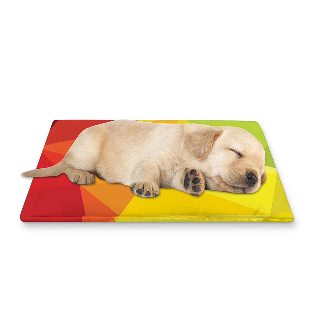Rainbow Polygonal Geometric Print Pet Cooling Mat Cover