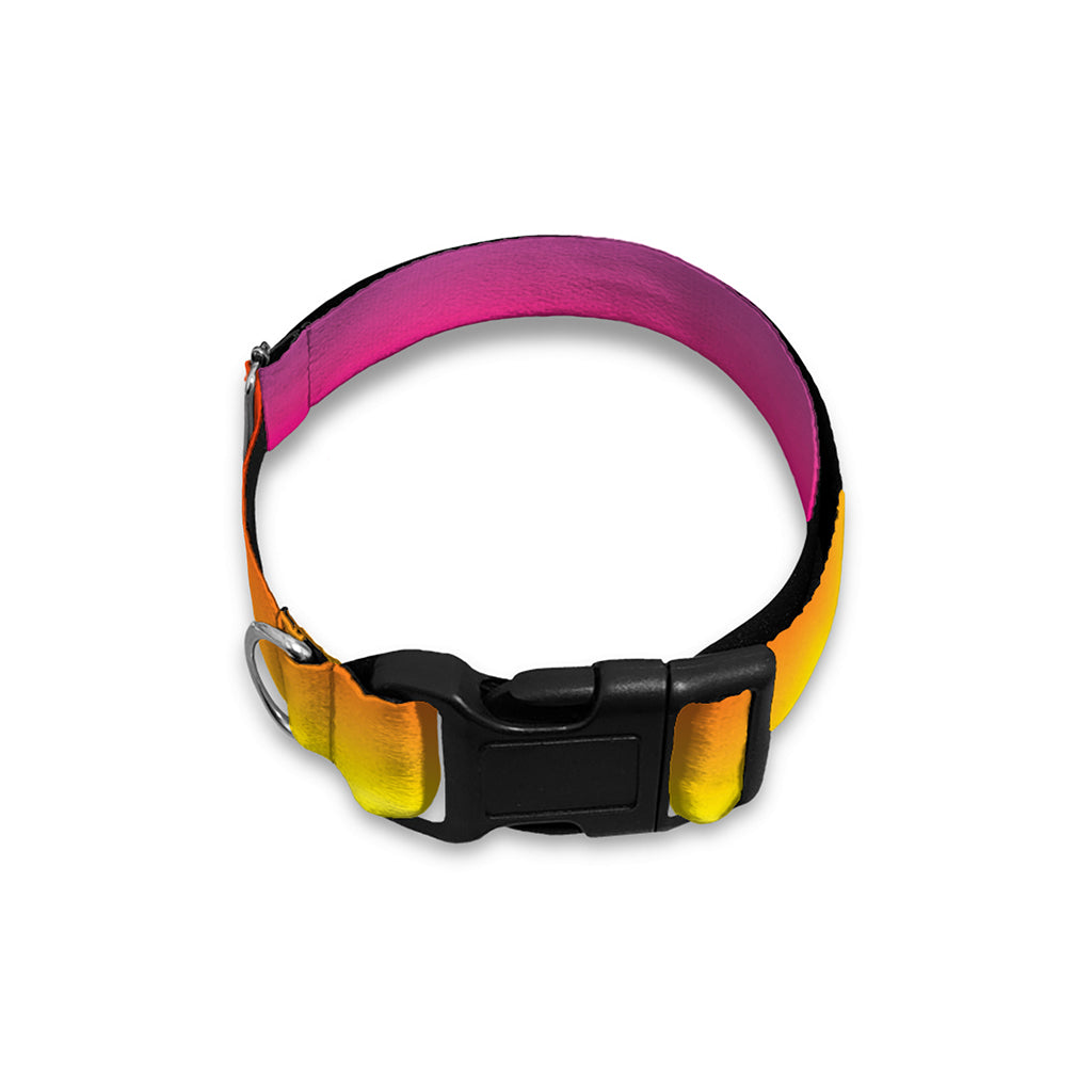 Rainbow Print Dog Collar