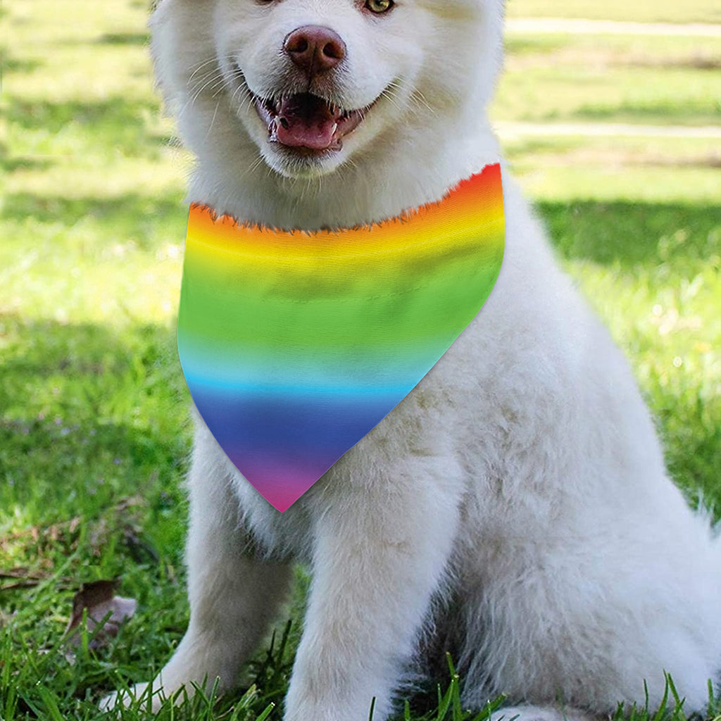 Rainbow Print Over The Collar Dog Bandana