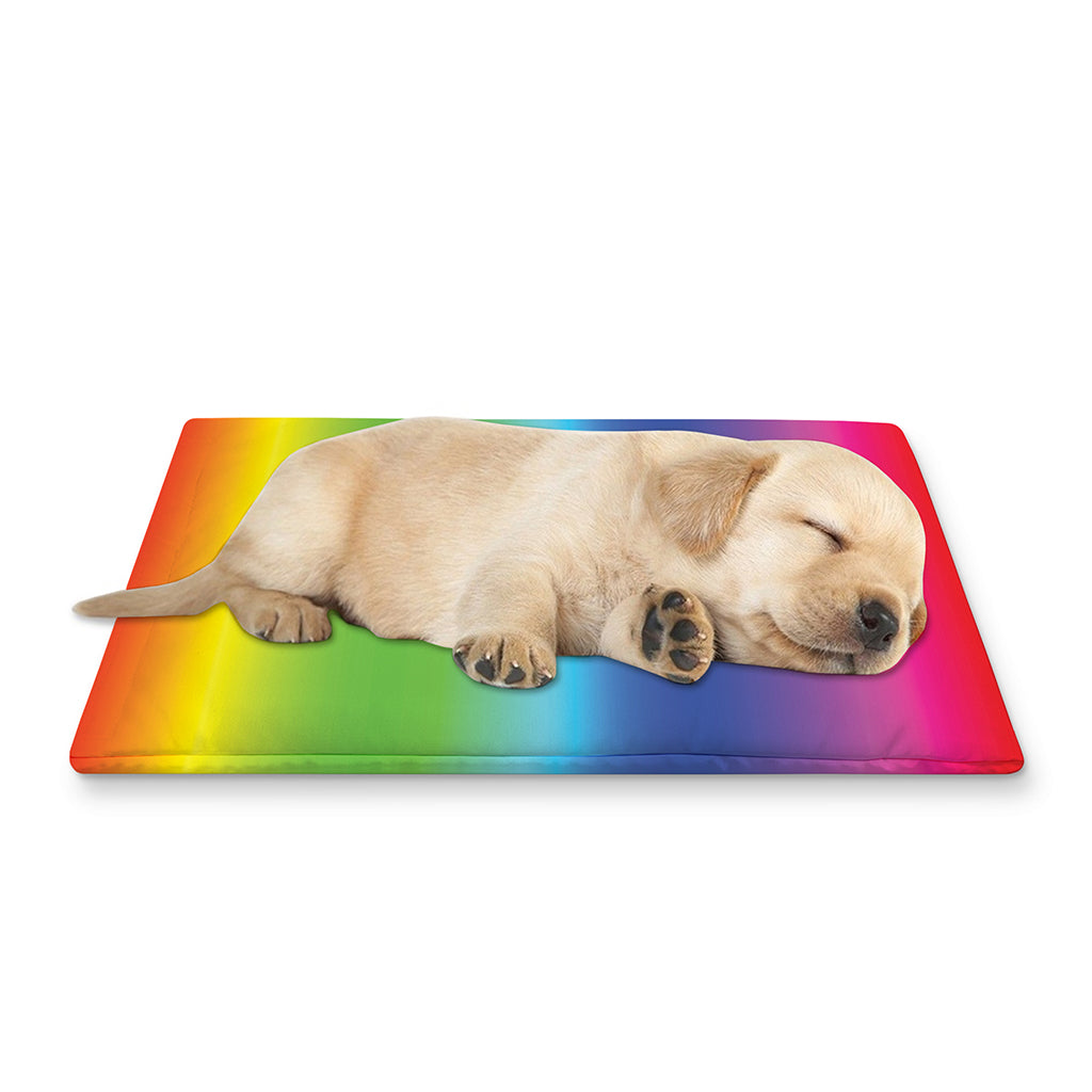 Rainbow Print Pet Cooling Mat Cover
