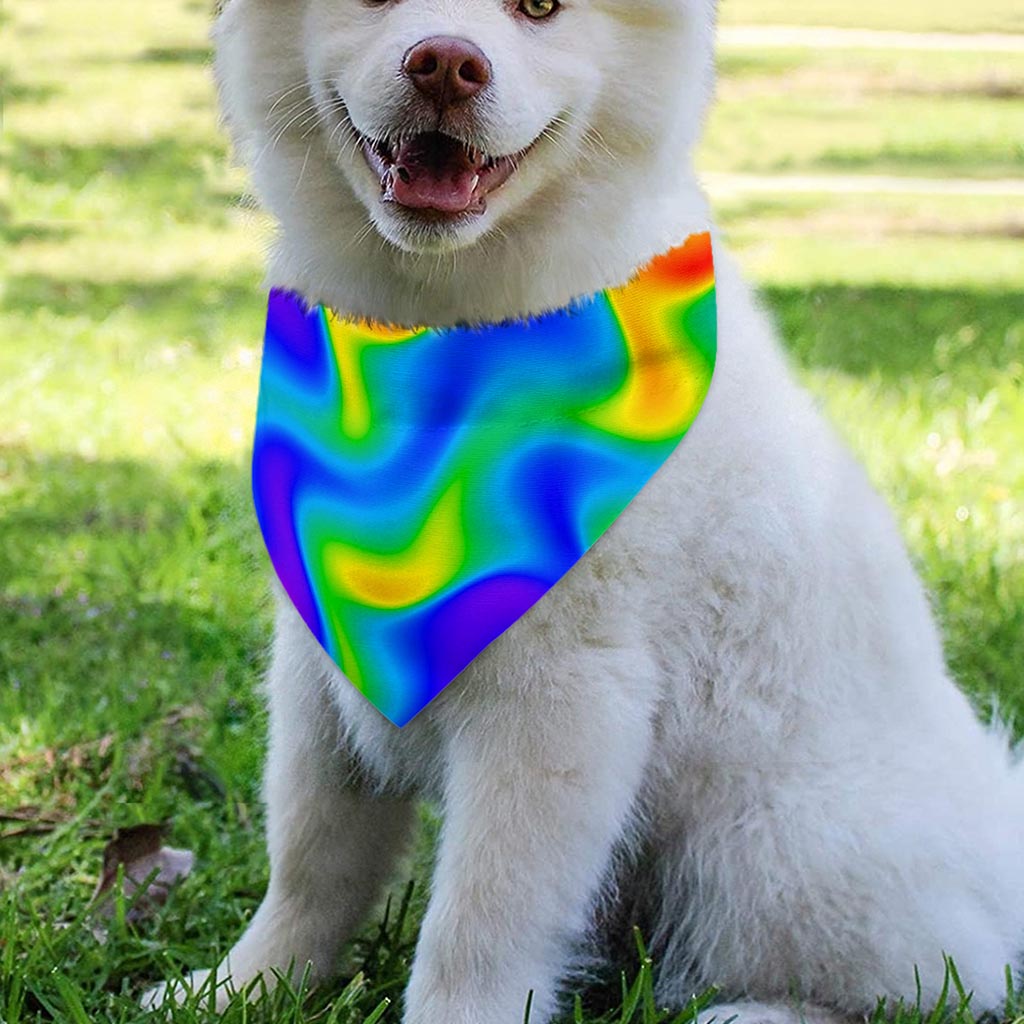 Rainbow Psychedelic Trippy Print Over The Collar Dog Bandana