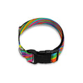 Rainbow Rave Print Dog Collar