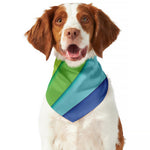Rainbow Shades Print Dog Bandana