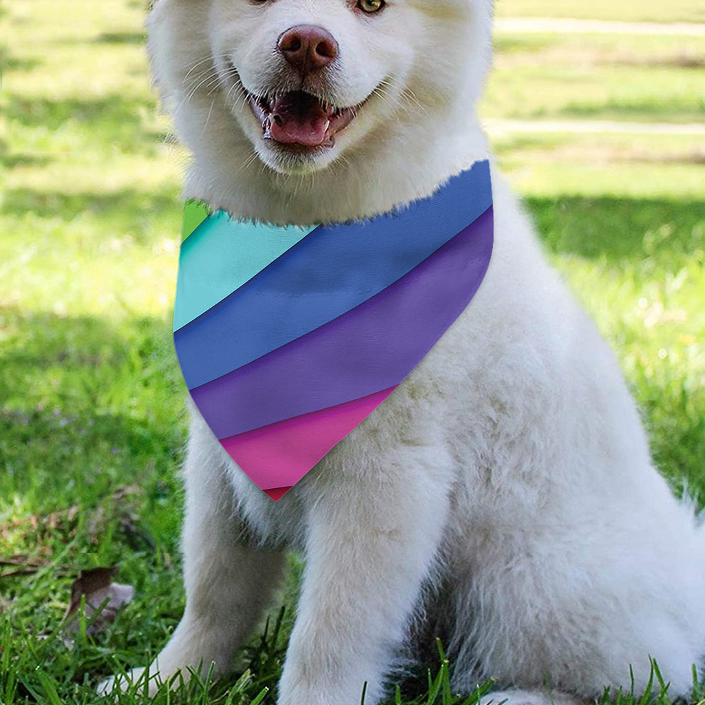 Rainbow Shades Print Over The Collar Dog Bandana