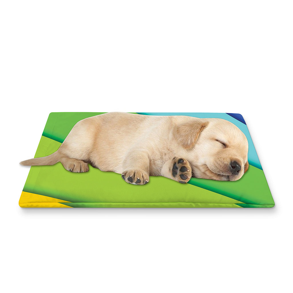 Rainbow Shades Print Pet Cooling Mat Cover