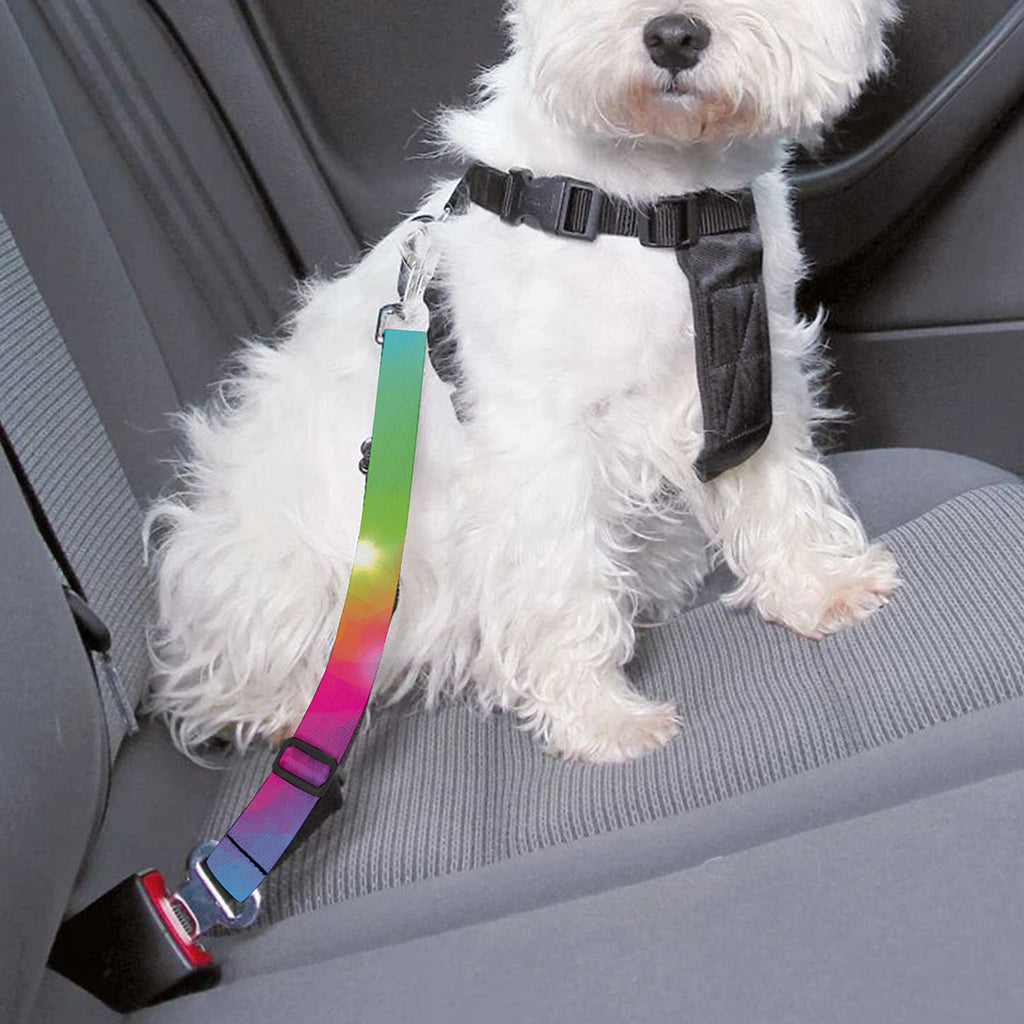 Rainbow Spiral Tie Dye Print Dog Seat Belt