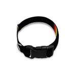 Rainbow Star of David Print Dog Collar