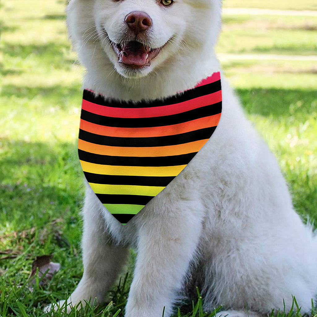 Rainbow Striped Pattern Print Over The Collar Dog Bandana