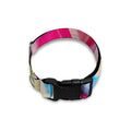 Rainbow Swirl Candy Print Dog Collar