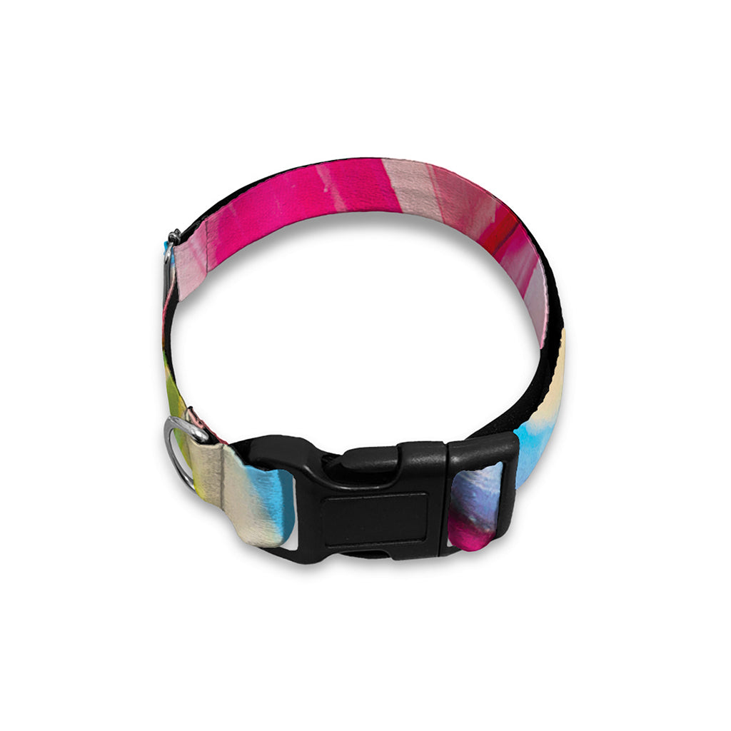 Rainbow Swirl Candy Print Dog Collar