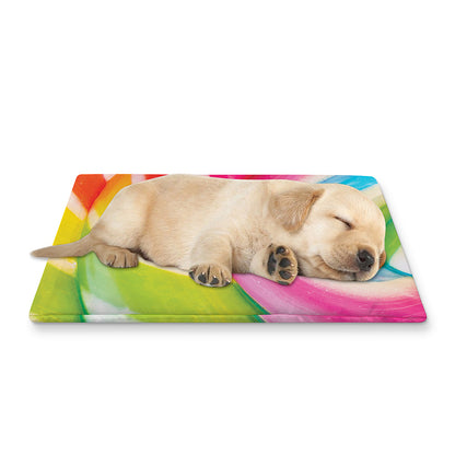 Rainbow Swirl Candy Print Pet Cooling Mat Cover