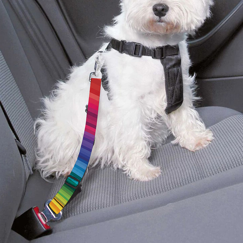 Rainbow Swirl Print Dog Seat Belt