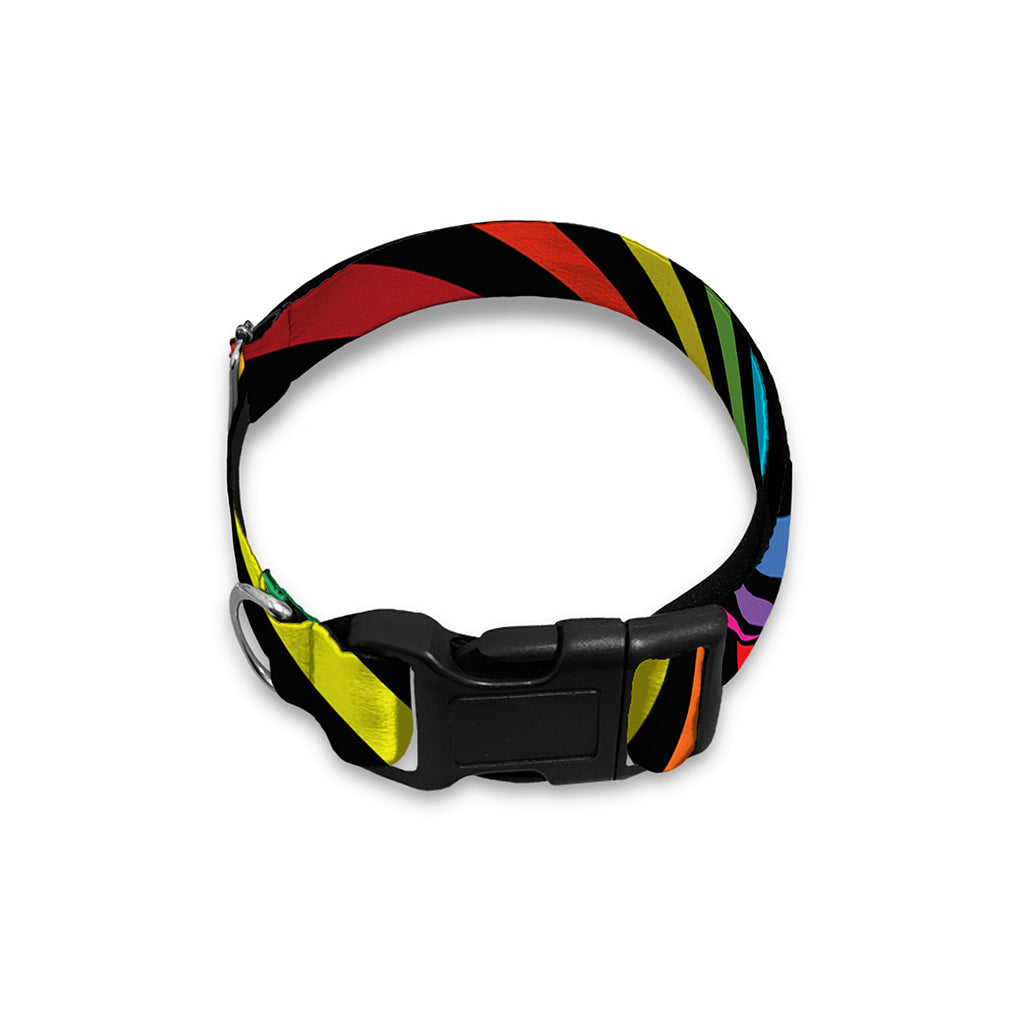 Rainbow Torus Psychedelic Print Dog Collar