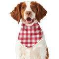 Raspberry Red And White Gingham Print Dog Bandana