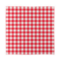Raspberry Red And White Gingham Print Silk Bandana