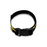 Rasta Flag Pattern Print Dog Collar