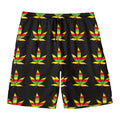 Rasta Flag Pattern Print Men's Swim Trunks