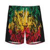Rasta Lion Print Men's Sports Shorts