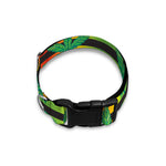 Rasta Striped Pattern Print Dog Collar