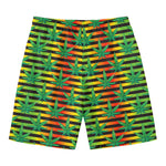 Rasta Striped Pattern Print Men's Swim Trunks