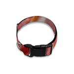 Raw Bacon Print Dog Collar