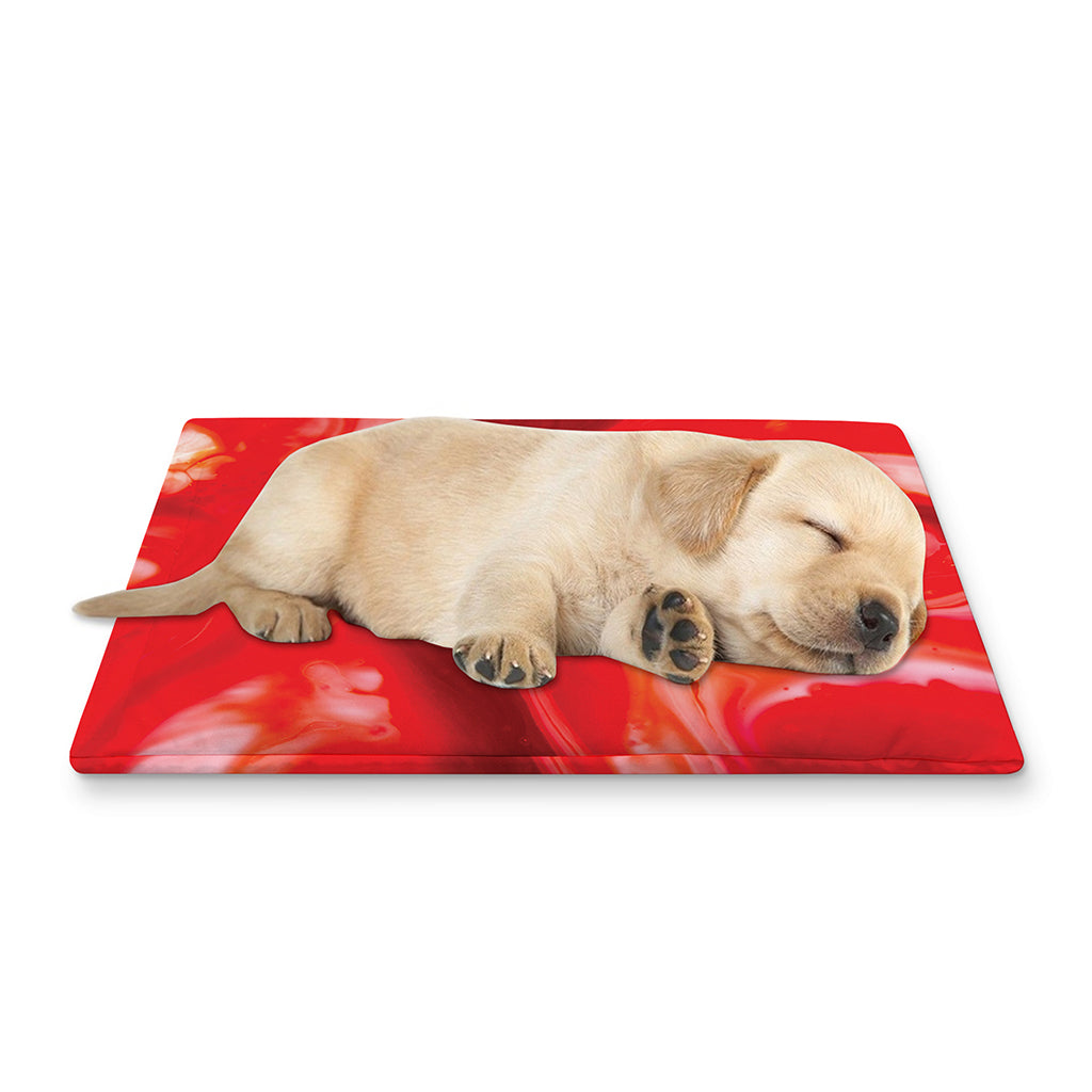 Red Acid Melt Print Pet Cooling Mat Cover