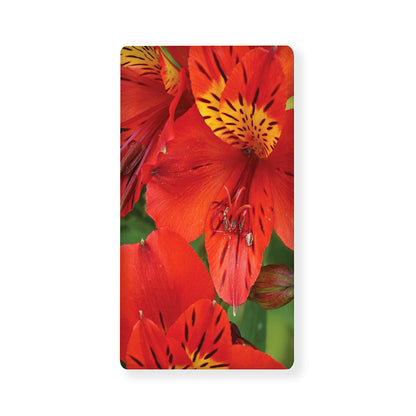 Red Alstroemeria Print Baby Crib Sheet
