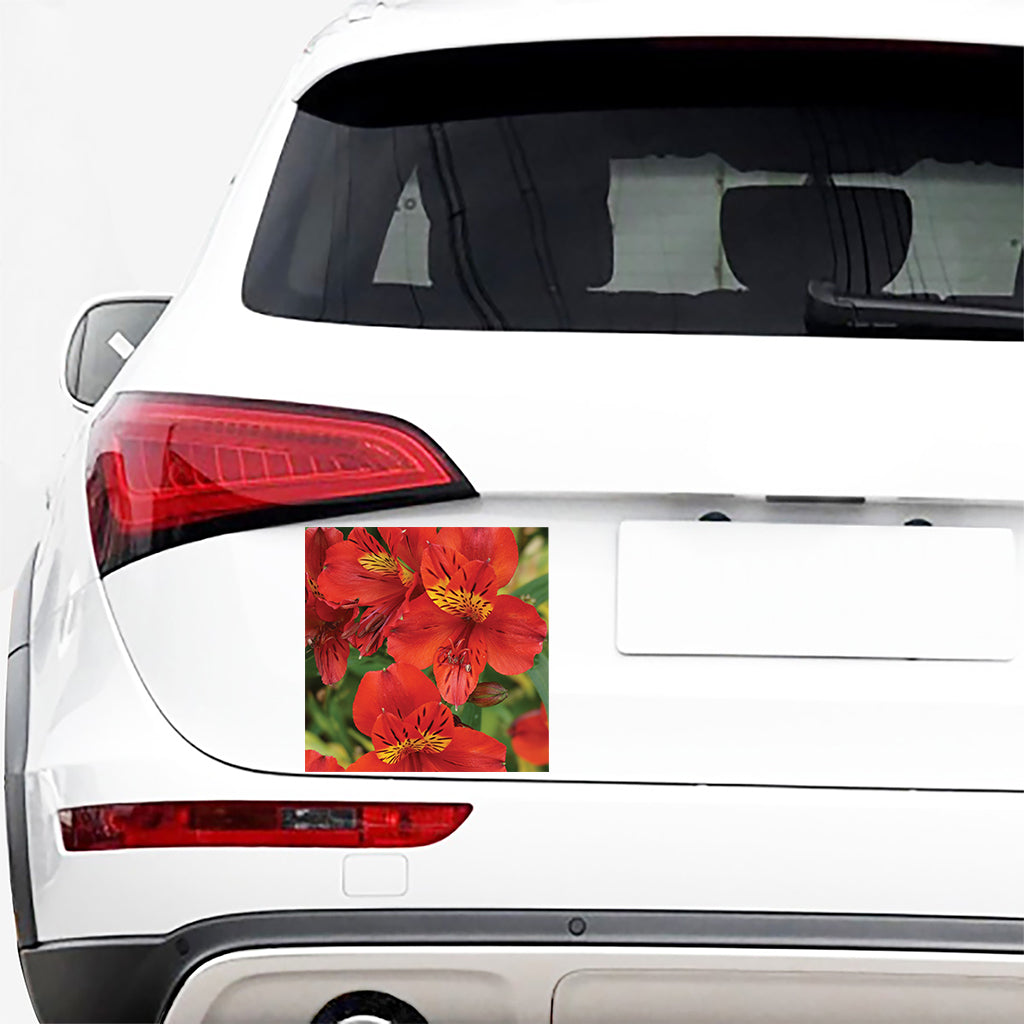 Red Alstroemeria Print Car Sticker