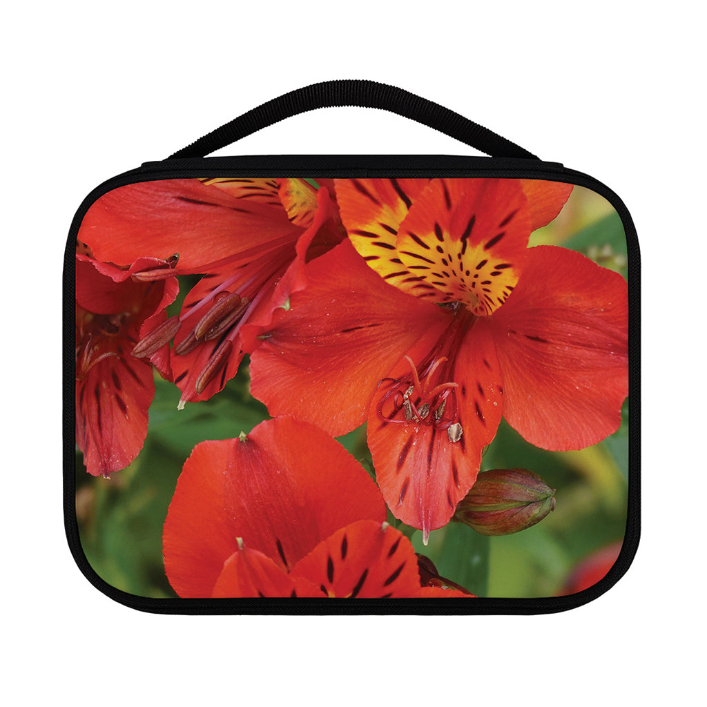 Red Alstroemeria Print Classic Bible Case