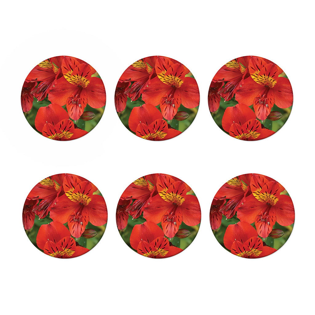 Red Alstroemeria Print Coaster Set