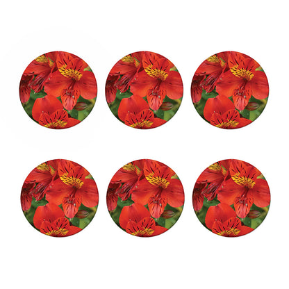 Red Alstroemeria Print Coaster Set