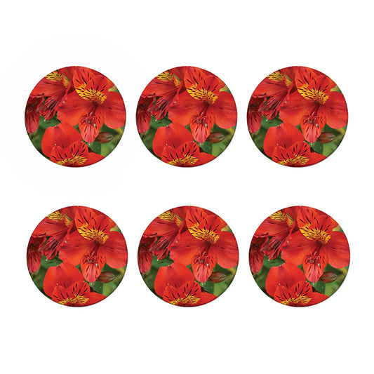 Red Alstroemeria Print Coaster Set
