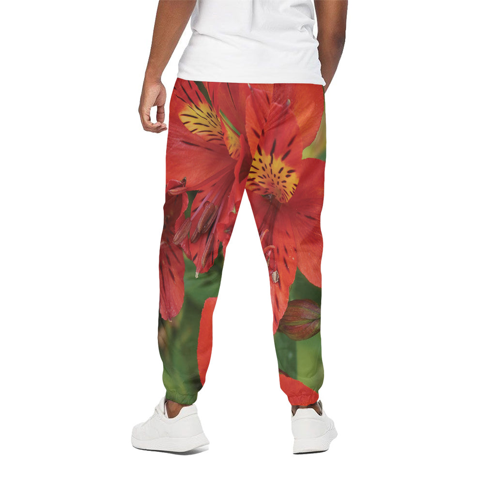 Red Alstroemeria Print Cotton Pants