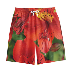 Red Alstroemeria Print Cotton Shorts