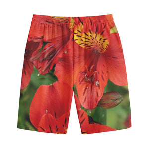 Red Alstroemeria Print Cotton Shorts