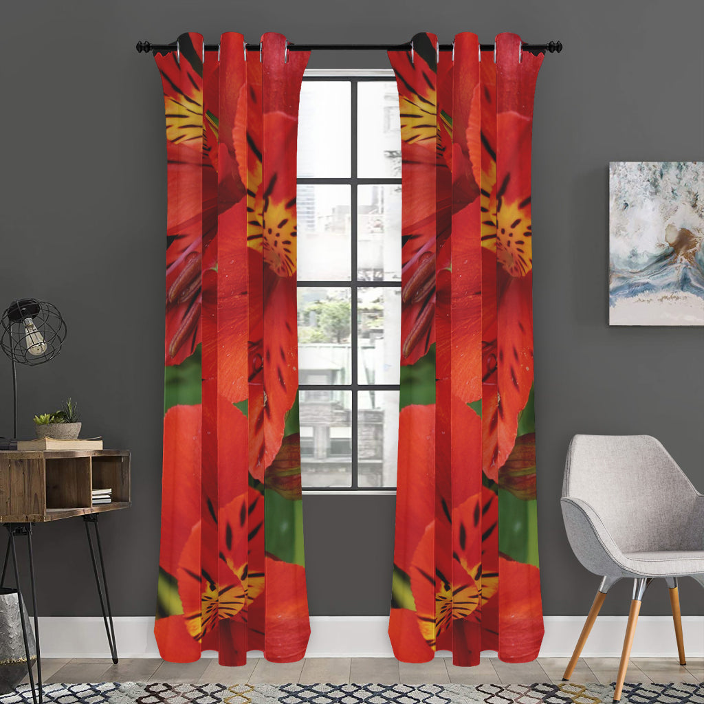 Red Alstroemeria Print Curtain