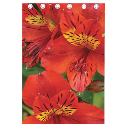 Red Alstroemeria Print Curtain