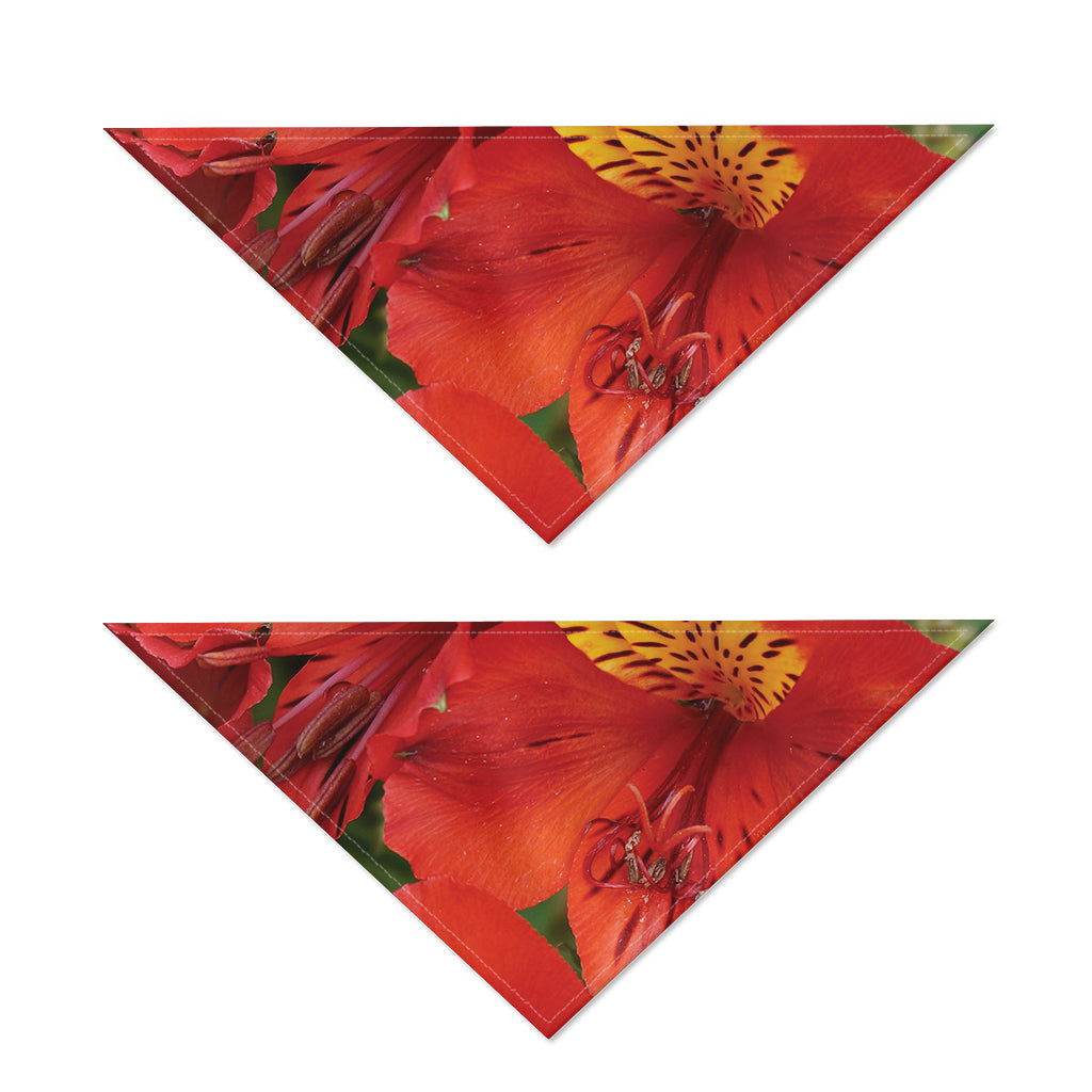 Red Alstroemeria Print Dog Bandana