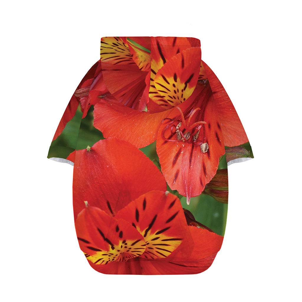 Red Alstroemeria Print Dog Zip Up Hoodie