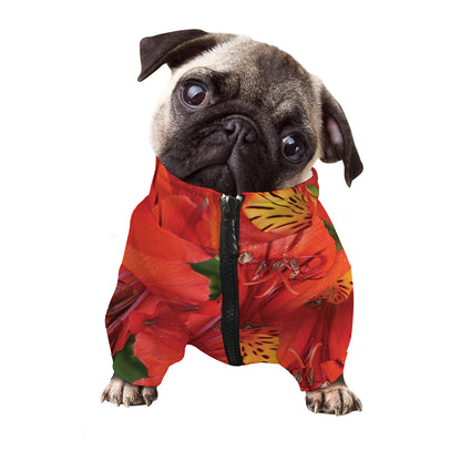 Red Alstroemeria Print Dog Zip Up Jacket