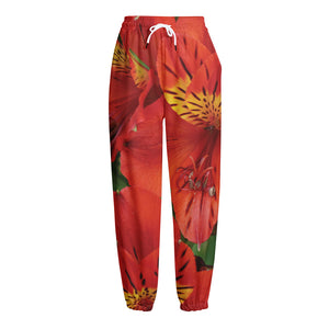 Red Alstroemeria Print Fleece Lined Knit Pants