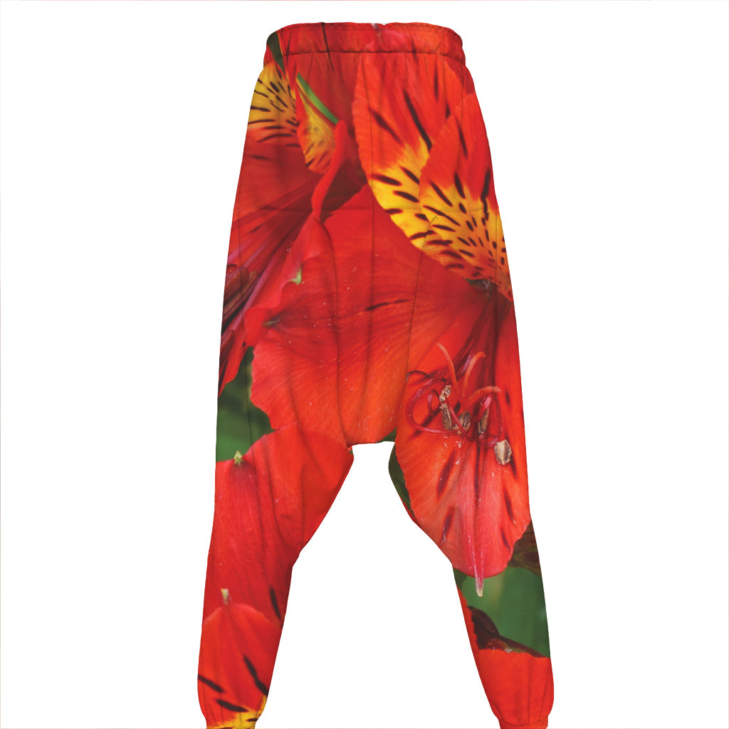 Red Alstroemeria Print Hammer Pants