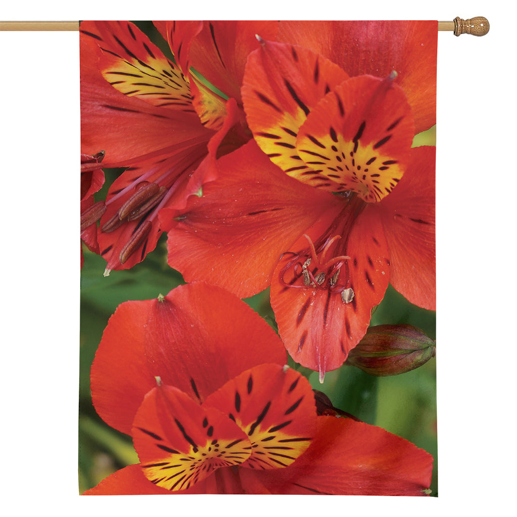 Red Alstroemeria Print House Flag